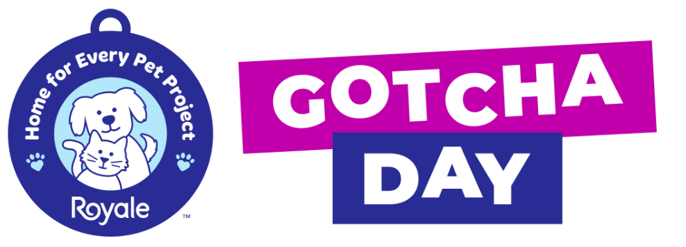 Gotcha Hero Image