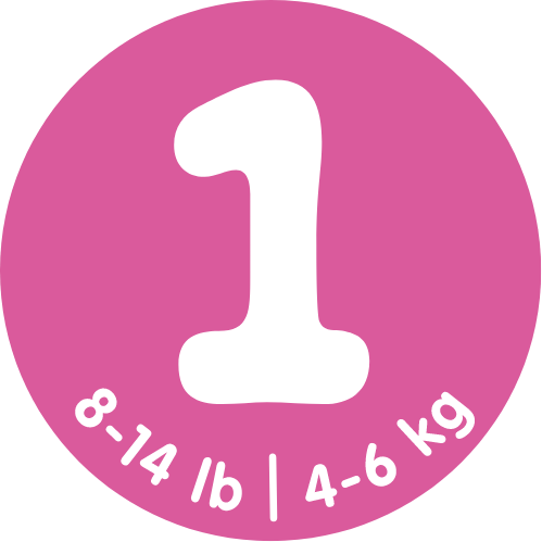 Navigate to 2