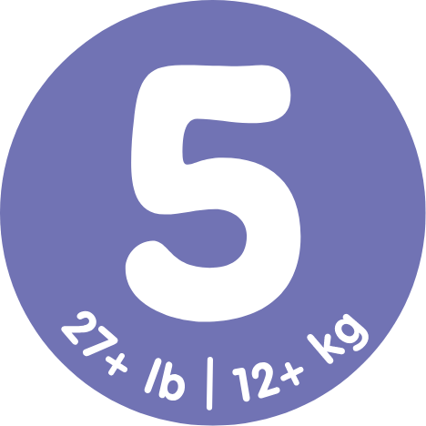 Navigate to 6