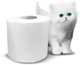menu.bathroomTissue