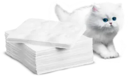 menu.napkins